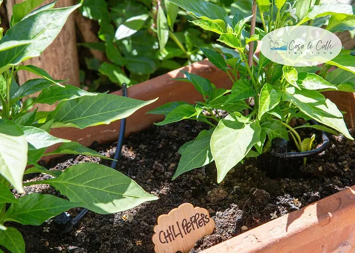 Casa Le Calle Vakantiehuis *